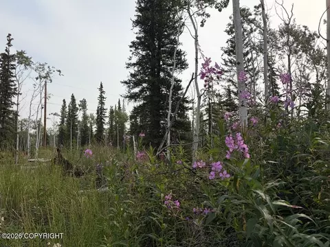 lot15 Drucke Miller Rd, Tok, AK 99780