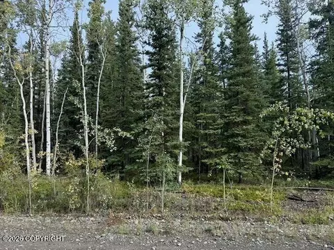 lot4 Butch Kuth Ave, Tok, AK 99780