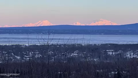 View/Area - 19712 Belduque Ct, Chugiak, AK 99567 photo 7 of 7