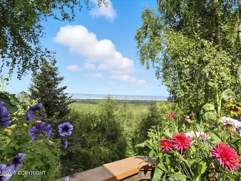 View/Area - 19712 Belduque Ct, Chugiak, AK 99567 photo 2 of 7