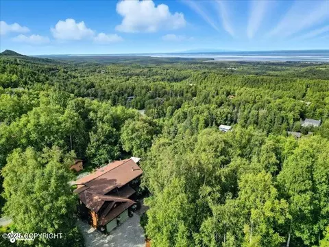 View/Area - 19712 Belduque Ct, Chugiak, AK 99567 photo 3 of 7