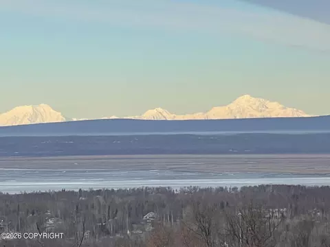View/Area - 19712 Belduque Ct, Chugiak, AK 99567 photo 5 of 7