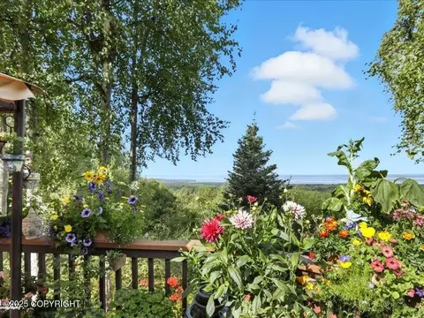 View/Area - 19712 Belduque Ct, Chugiak, AK 99567 photo 1 of 7
