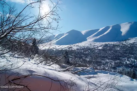 4025 Cotton Grass Dr, Eagle River, AK 99577 photo 2