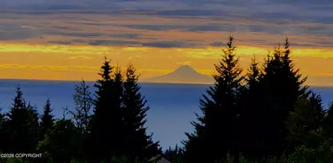 41236 Volcano View Ct, Homer, AK 99603