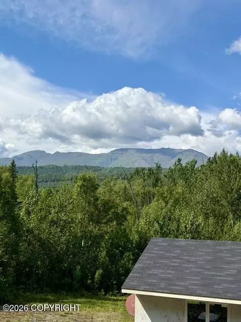 Other - 18326 Eska Mountain Way, Sutton, AK 99674 photo 10 of 19