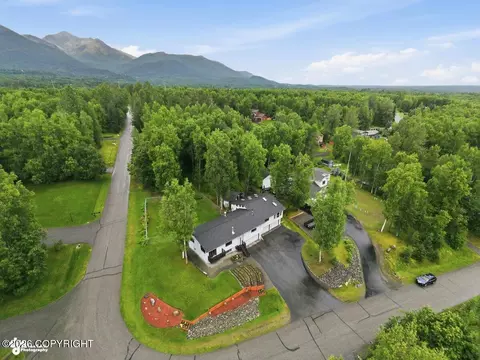 View/Area - 21910 Sheltering Spruce Loop, Chugiak, AK 99567 photo 1 of 5