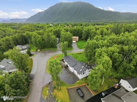 View/Area - 21910 Sheltering Spruce Loop, Chugiak, AK 99567 photo 3 of 5