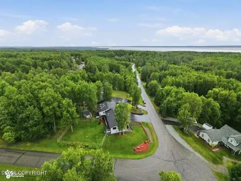 View/Area - 21910 Sheltering Spruce Loop, Chugiak, AK 99567 photo 5 of 5