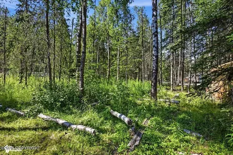 Exterior - 18306 Birchtree St, Chugiak, AK 99567 photo 17 of 18