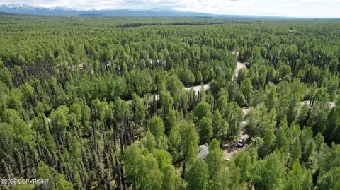 View/Area - 18541 E Wooded Pl, Willow, AK 99688 photo 6 of 8