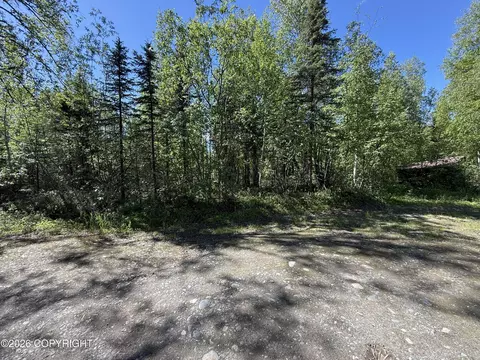 Other - 18541 E Wooded Pl, Willow, AK 99688 photo 7 of 11