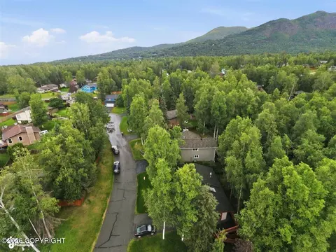 View/Area - 9609 Krishka Cir, Eagle River, AK 99577 photo 2 of 3