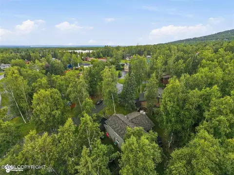 View/Area - 9609 Krishka Cir, Eagle River, AK 99577 photo 2 of 3