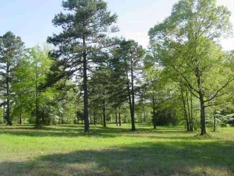 106 Amy Ln, Beebe, AR 72012 photo 1