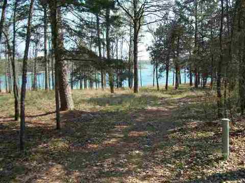 39 Castle Point Rd, Drasco, AR 72530 photo 1