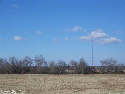 175 Kayla Ln, Lonoke, AR 72086 photo 4