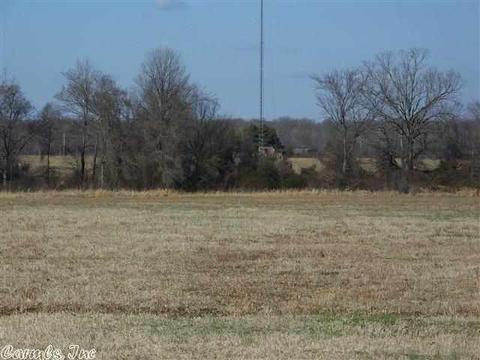 175 Kayla Ln, Lonoke, AR 72086 photo 2