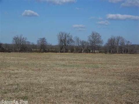 175 Kayla Ln, Lonoke, AR 72086 photo 5