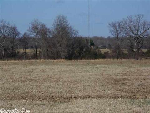 175 Kayla Ln, Lonoke, AR 72086 photo 3