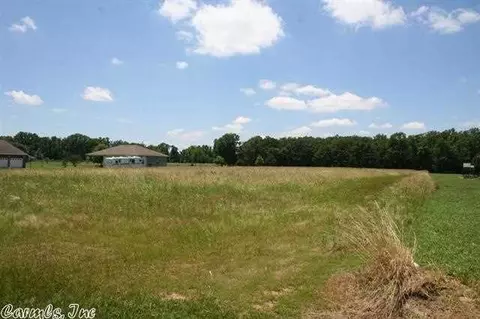 252 Saltillo Rd, Conway, AR 72032 photo 11