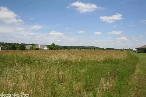 252 Saltillo Rd, Conway, AR 72032 photo 17