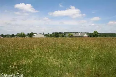 252 Saltillo Rd, Conway, AR 72032 photo 19