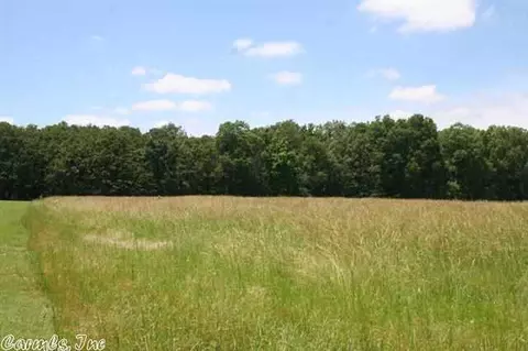 252 Saltillo Rd, Conway, AR 72032 photo 6