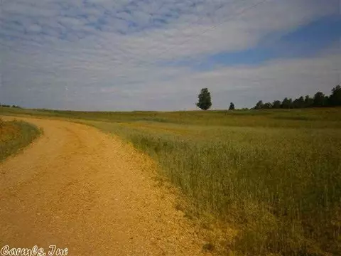 1685 Greene 416 Rd, Marmaduke, AR 71443 photo 1