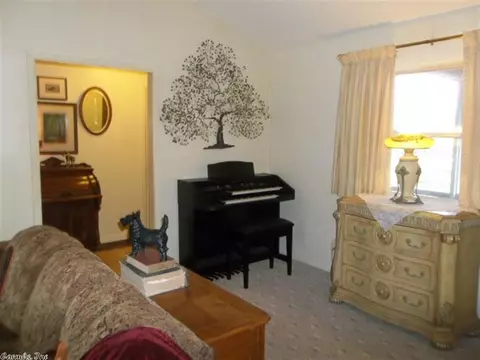 97 E Michael Dr, Hardy, AR 72529 photo 4