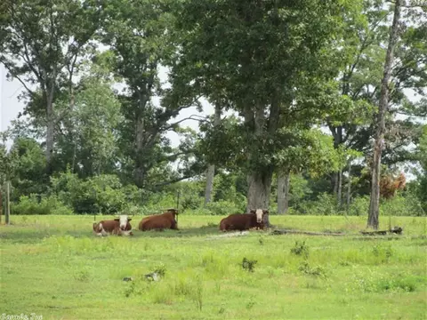 1100 Bivens Rd, Quitman, AR 72131 photo 12