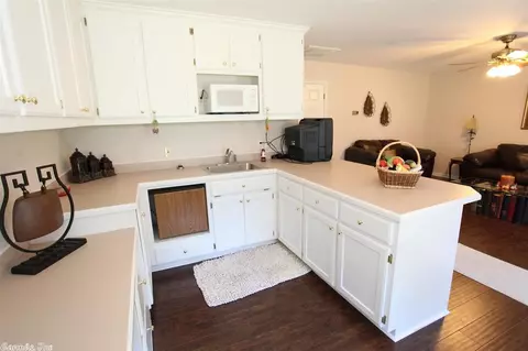 413 Saltillo Rd, Conway, AR 72032 photo 15