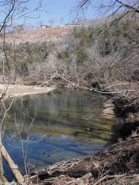 1195 Double Bridge Loop, Mountain View, AR 72560 photo 7