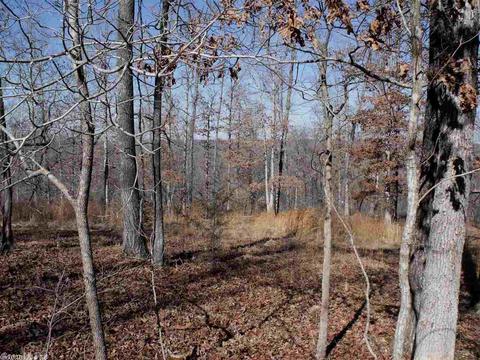 1195 Double Bridge Loop, Mountain View, AR 72560 photo 5