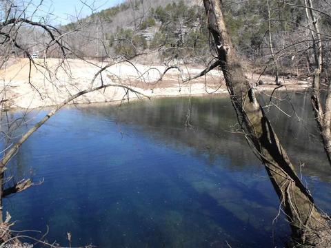 1195 Double Bridge Loop, Mountain View, AR 72560 photo 6