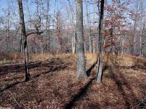 1195 Double Bridge Loop, Mountain View, AR 72560 photo 4
