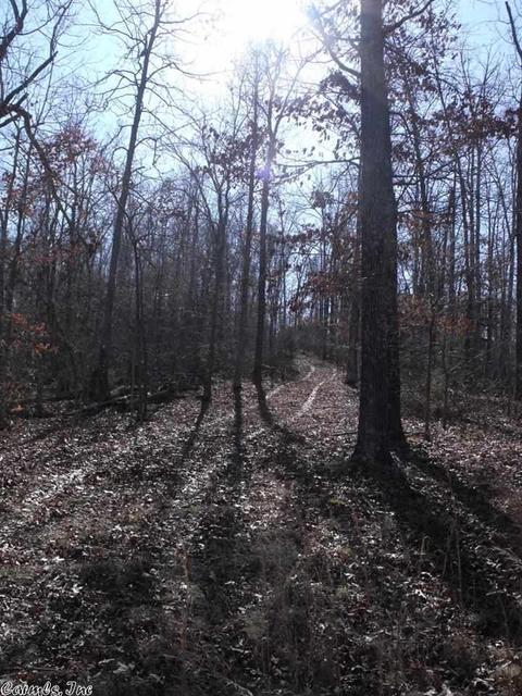 1195 Double Bridge Loop, Mountain View, AR 72560 photo 3