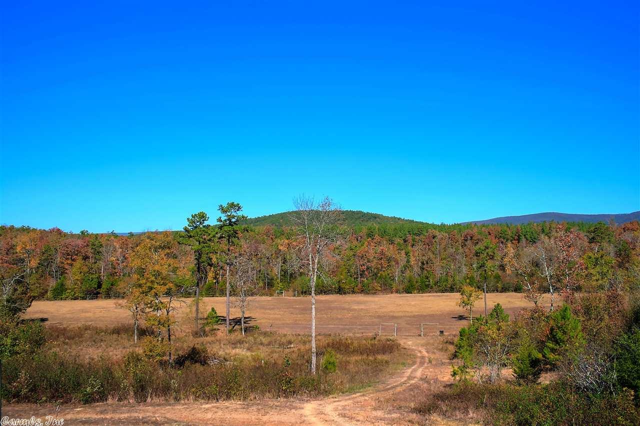 263 Bird Ln, Mena, AR 71953 photo 33