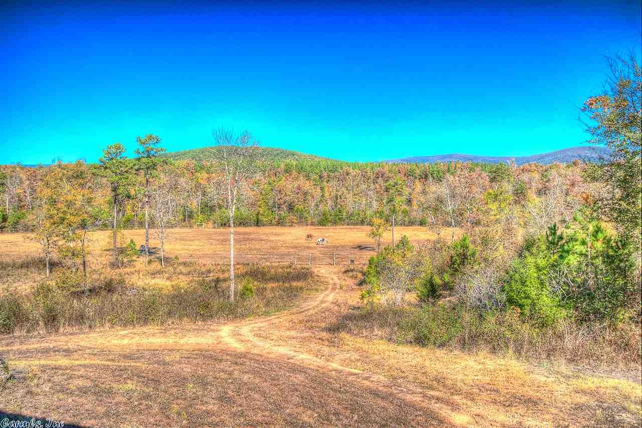 263 Bird Ln, Mena, AR 71953 photo 2
