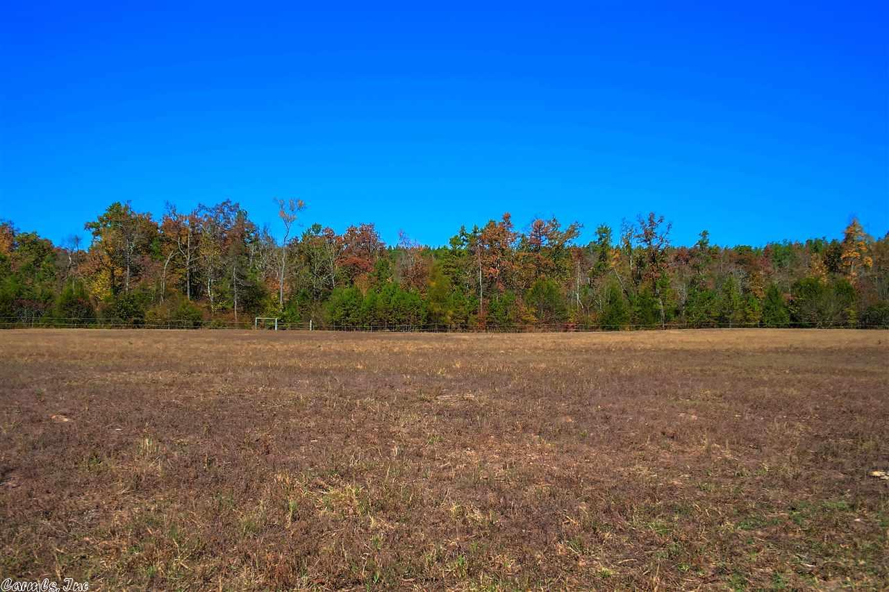 263 Bird Ln, Mena, AR 71953 photo 29