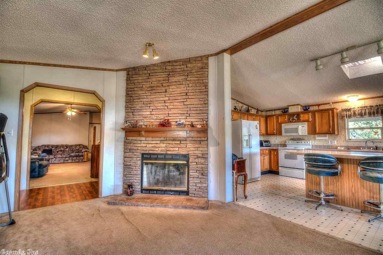 263 Bird Ln, Mena, AR 71953 photo 4