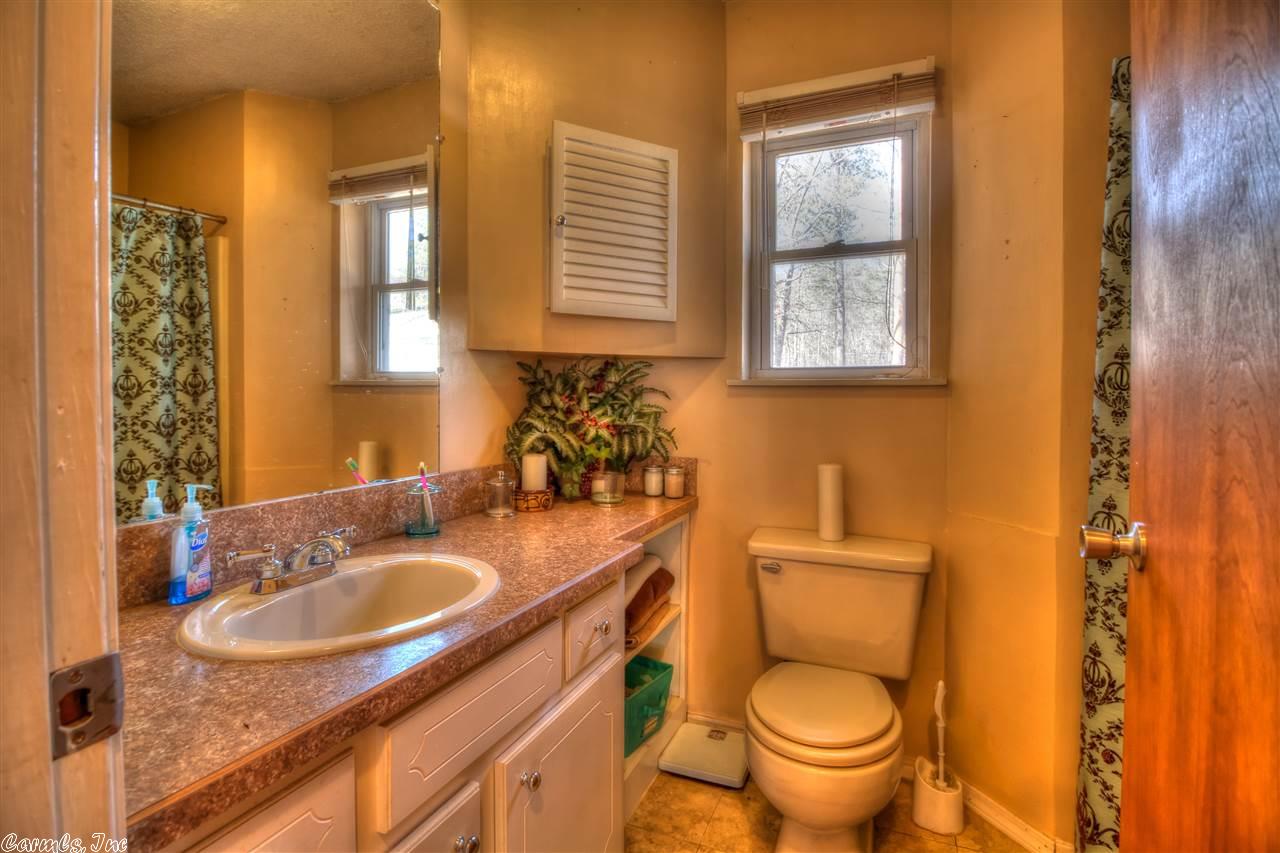 541 Polk 117, Mena, AR 71953 photo 11