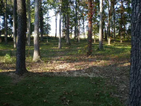 212 W Blake H Ln, Beebe, AR 72012 photo 28