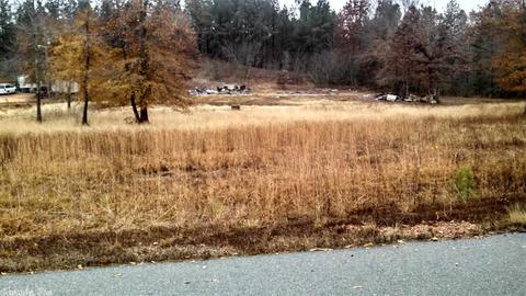 12709 Sioux Trail Dr, Alexander, AR 72002 photo 1