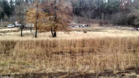 12709 Sioux Trail Dr, Alexander, AR 72002 photo 3