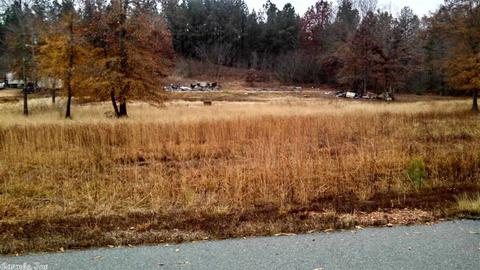 12709 Sioux Trail Dr, Alexander, AR 72002 photo 2