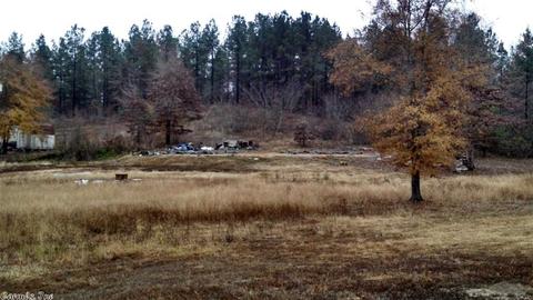 12709 Sioux Trail Dr, Alexander, AR 72002 photo 9