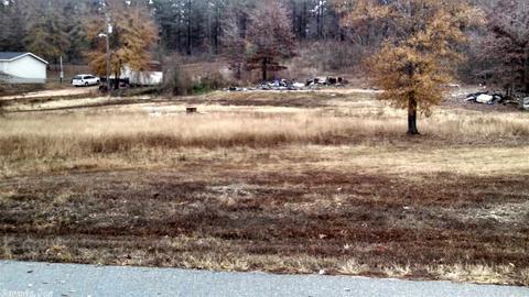 12709 Sioux Trail Dr, Alexander, AR 72002 photo 7