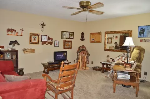 16992 Arrowhead Dr, Dexter, MO 63841 photo 3