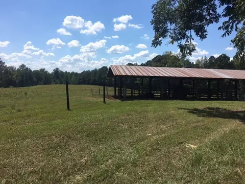 3215 Co Rd 258, Five Points, AL 36855 photo 15